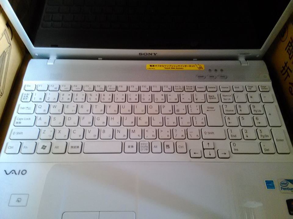 PCG-71311N