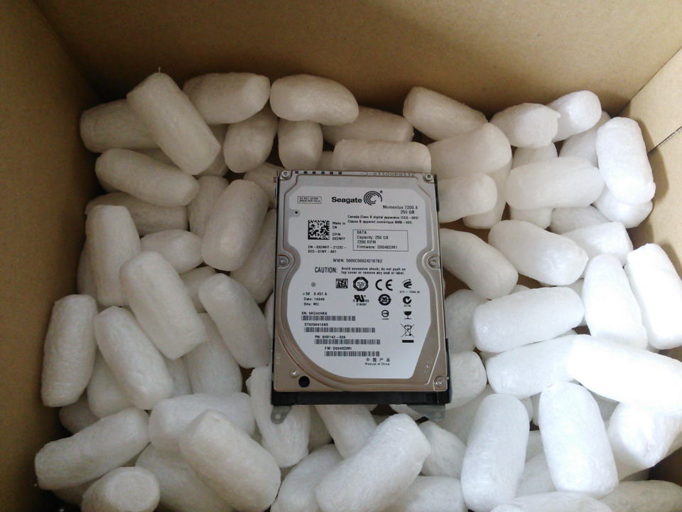 ST9250410AS_0410